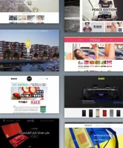 Alternative view of Flatsome 3.18.5 | Multi-Purpose Responsive WooCommerce Themes
