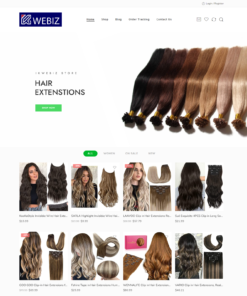 Hair and Extension Dropshipping Website Store Business Hosting + Products