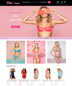 Established Profitable LINGERIE Turn-key Online Business Website