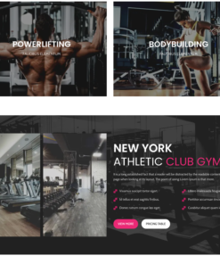 Alternative view of Fitness & Workout Training Website
