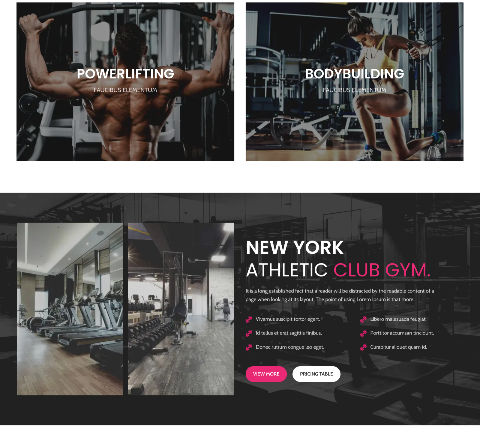 Fitness & Workout Training Website - Image 2