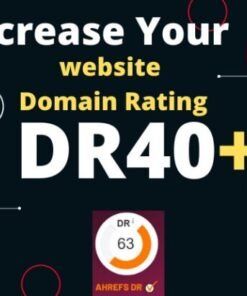 SEO website increase domain rank to Ahrefs 40 plus,backlinks increase DA TF DR